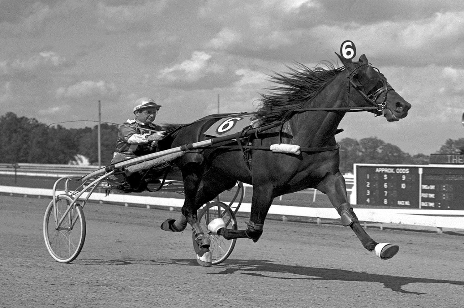 Joe O'Brien and Armbro Flight